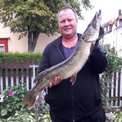 2016 / Fredi Vajdic / Waldnaab / Hecht / 88 cm / 7.1 kg