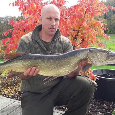 2016 / Josef Wenzl / Waldnaab / Hecht / 91 cm / 12 Pfund