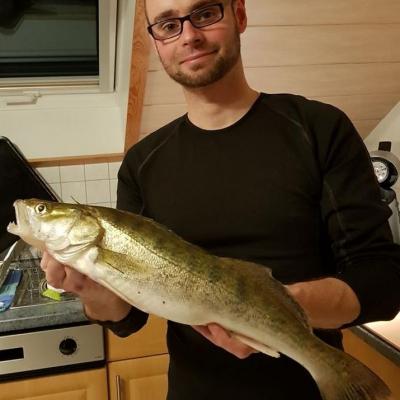 2018 / Christoph Röckl / Zander / Waldnaab / 57 cm