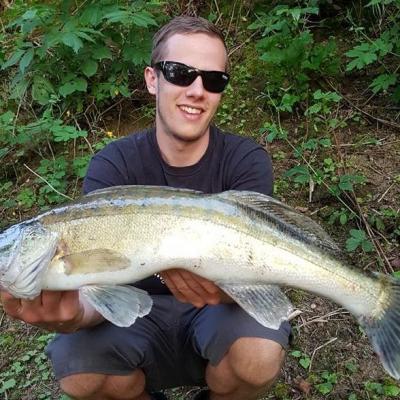 2017 / Christopher Wenzl / Waldnaab / Zander / 72 cm