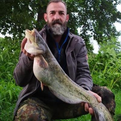 Andreas Hagn / Waller