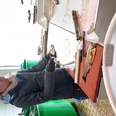 Vorbereitungslehrgang 09